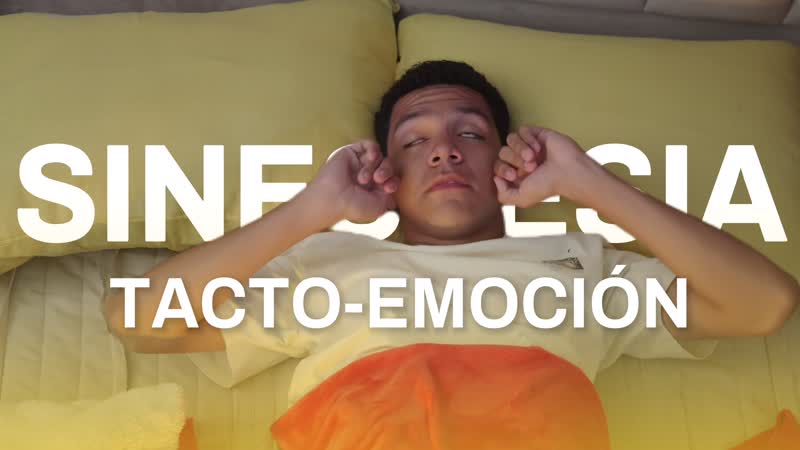 Sinestesia — Tacto-Emoción